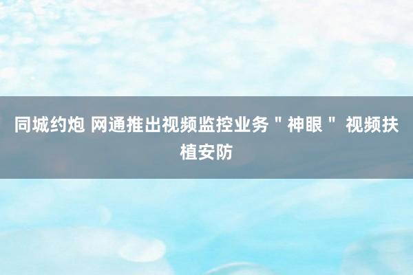 同城约炮 网通推出视频监控业务"神眼" 视频扶植安防