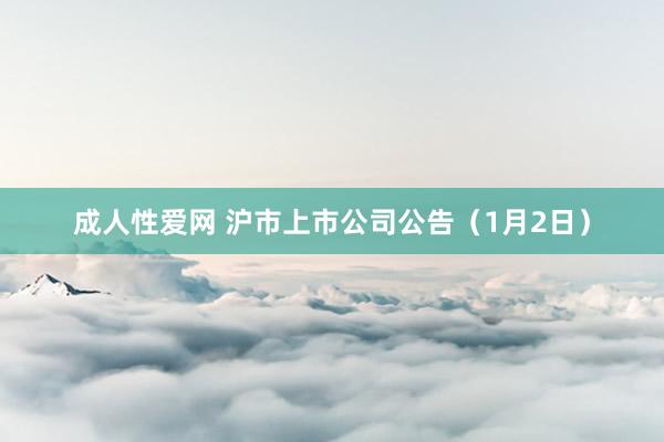 成人性爱网 沪市上市公司公告（1月2日）