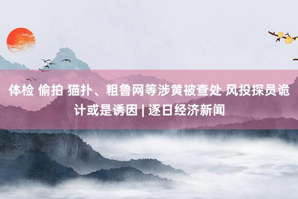 体检 偷拍 猫扑、粗鲁网等涉黄被查处 风投探员诡计或是诱因 | 逐日经济新闻