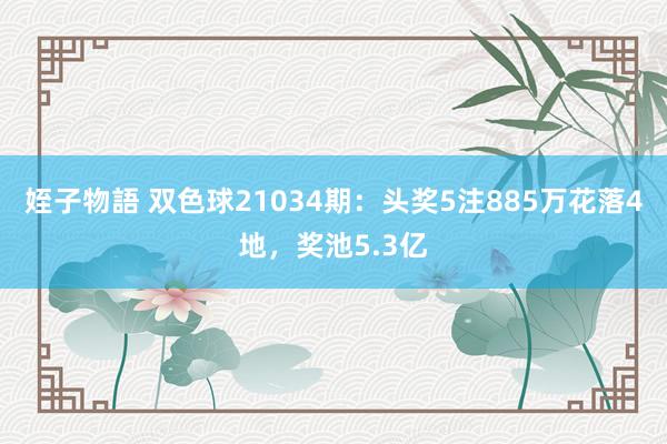 姪子物語 双色球21034期：头奖5注885万花落4地，奖池5.3亿