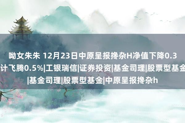 呦女朱朱 12月23日中原呈报搀杂H净值下降0.33%，近1个月累计飞腾0.5%|工银瑞信|证券投资|基金司理|股票型基金|中原呈报搀杂h