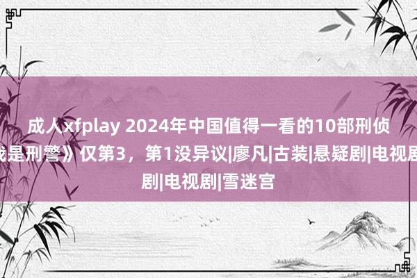 成人xfplay 2024年中国值得一看的10部刑侦剧：《我是刑警》仅第3，第1没异议|廖凡|古装|悬疑剧|电视剧|雪迷宫