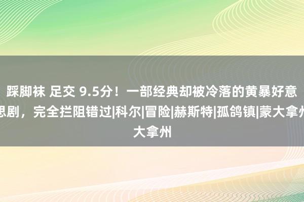 踩脚袜 足交 9.5分！一部经典却被冷落的黄暴好意思剧，完全拦阻错过|科尔|冒险|赫斯特|孤鸽镇|蒙大拿州