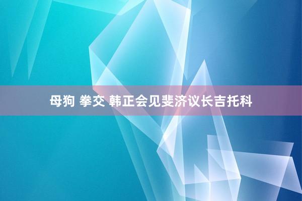 母狗 拳交 韩正会见斐济议长吉托科
