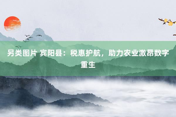 另类图片 宾阳县：税惠护航，助力农业激昂数字重生