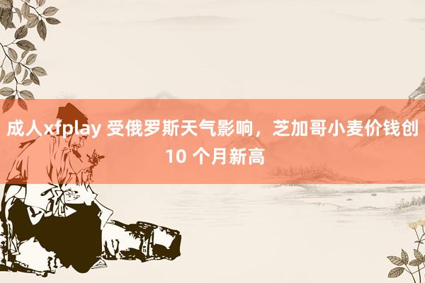 成人xfplay 受俄罗斯天气影响，芝加哥小麦价钱创 10 个月新高