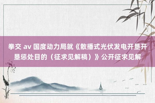拳交 av 国度动力局就《散播式光伏发电开垦开垦惩处目的（征